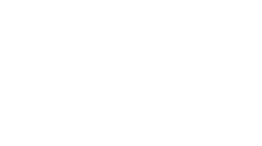 noemys